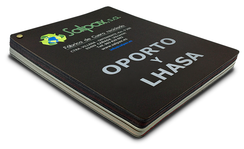 04%20Oporto%20y%20Lhasa